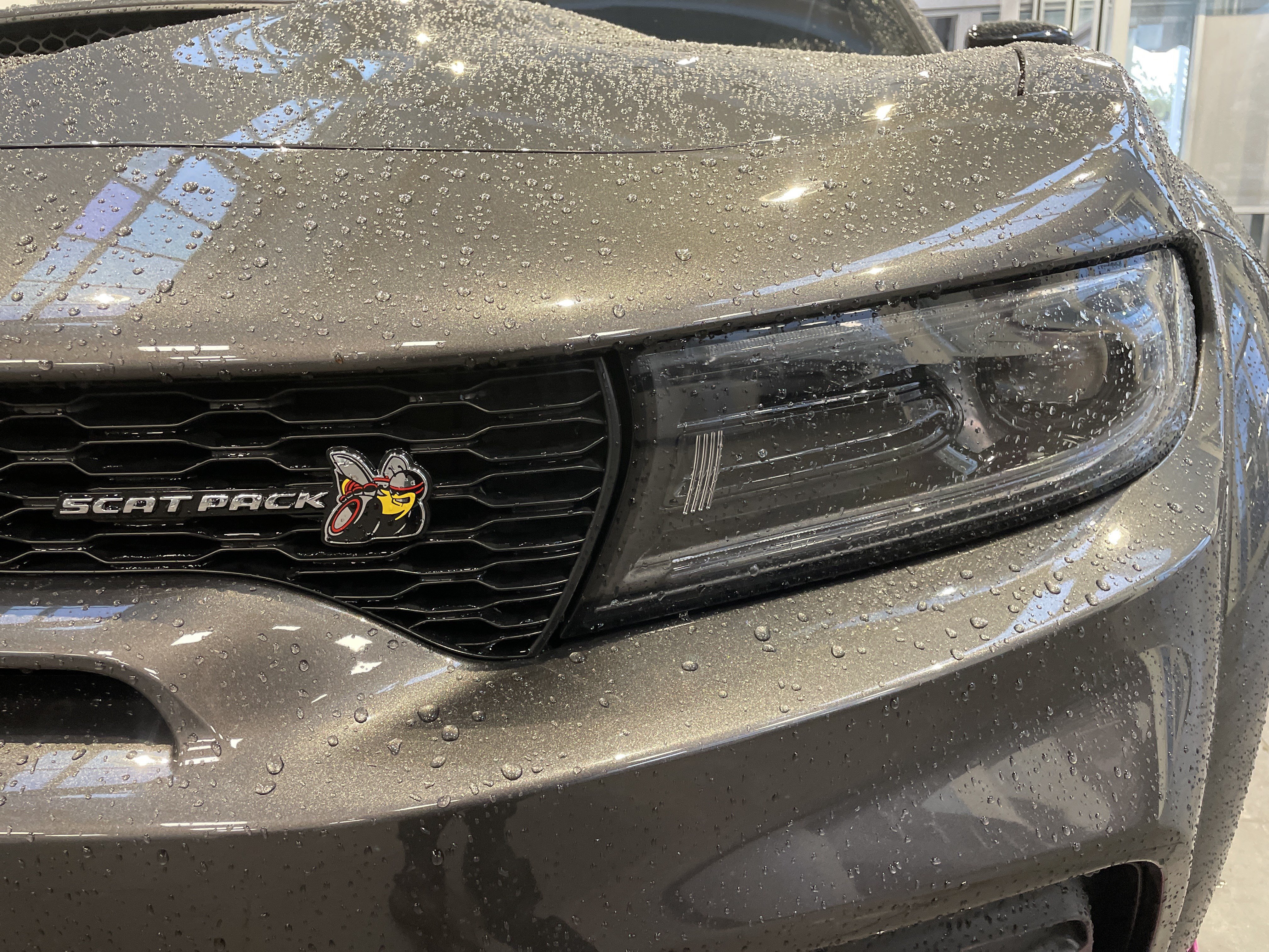 Used 2023 Dodge Charger Scat Pack RWD image 5