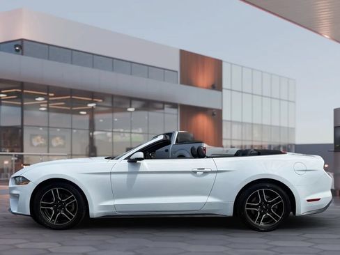 Used 2020 Ford Mustang Premium RWD image 6