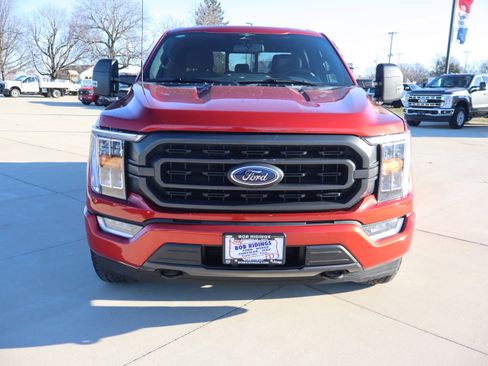 Used 2023 Ford F150 XLT w/ Equipment Group 302A High image 2