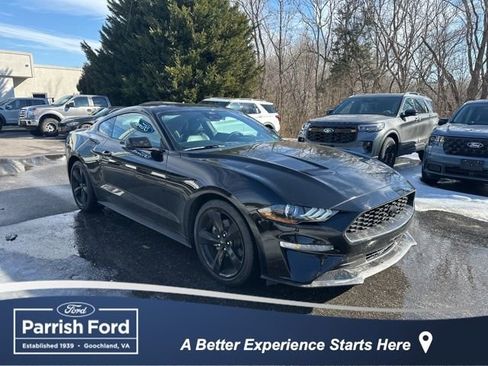 Used 2022 Ford Mustang Premium w/ Equipment Group 201A image 1