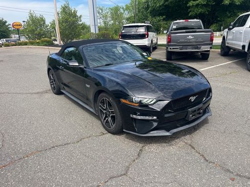 Used 2019 Ford Mustang GT Premium w/ Equipment Group 401A RWD image 3