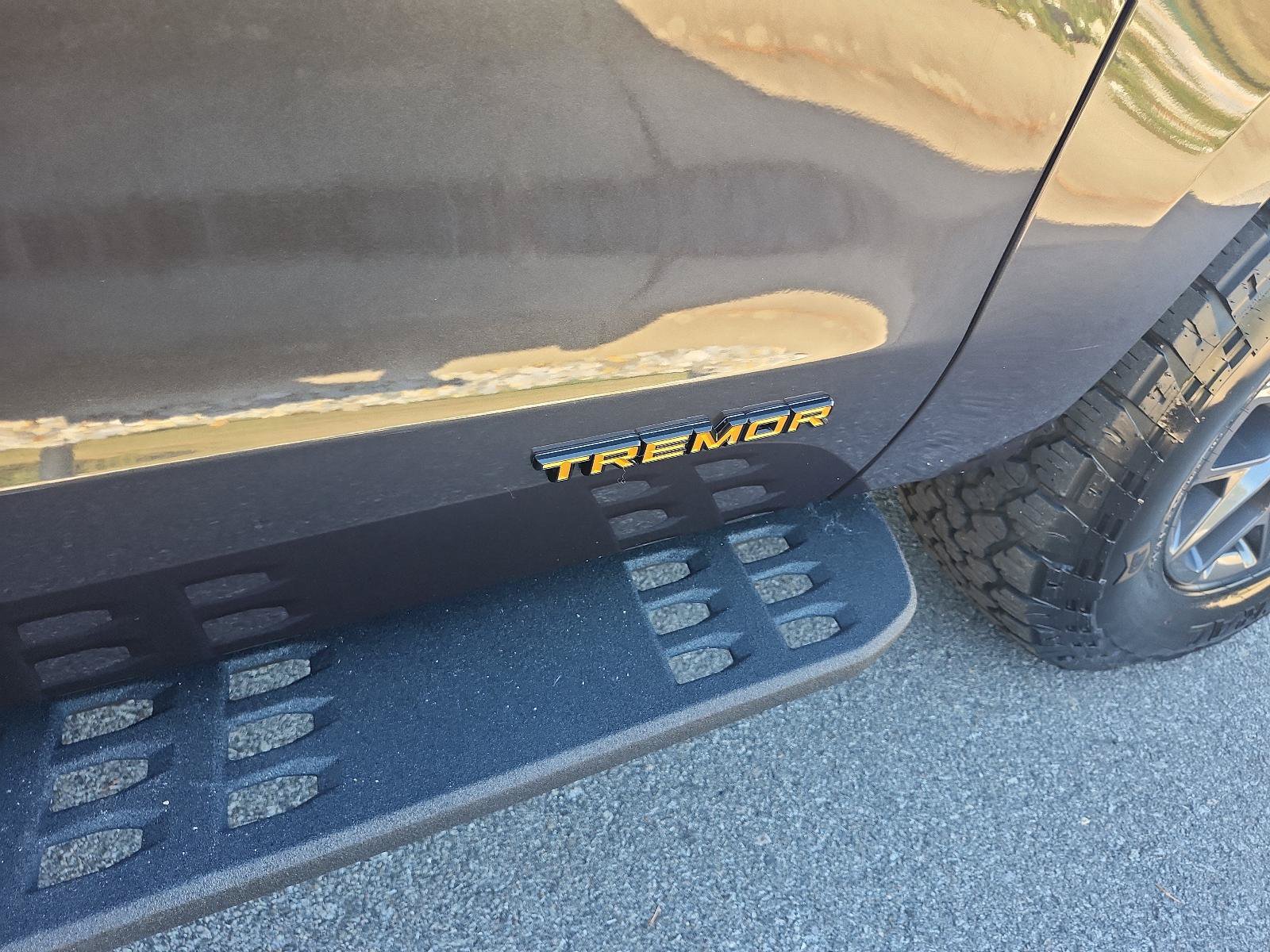 Used 2025 Ford Expedition Tremor AWD/4WD image 7