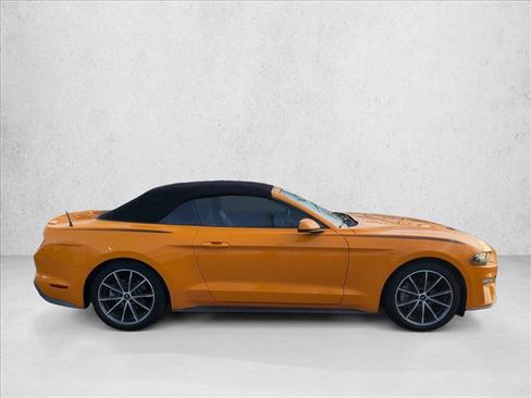 Used 2019 Ford Mustang Premium w/ Equipment Group 201A image 4