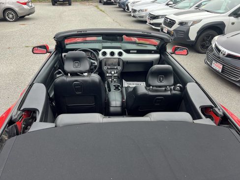 Used 2015 Ford Mustang Premium image 9