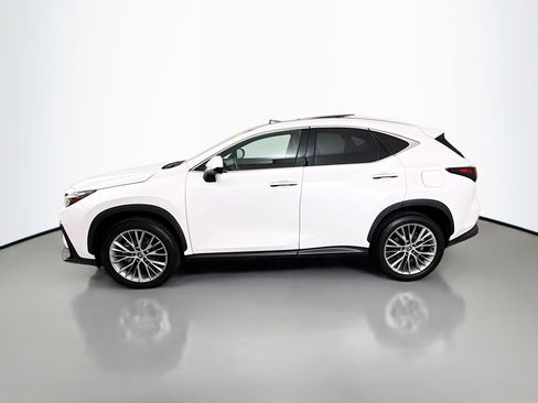 Certified 2025 Lexus NX 350h AWD w/ Accessory Package (2T) image 4