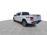 Used 2015 Ford F150 XLT w/ Equipment Group 302A Luxury image 6