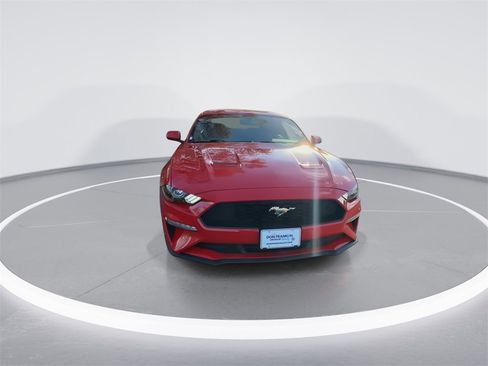 Used 2019 Ford Mustang Premium w/ Equipment Group 101A image 3