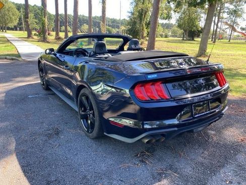 Used 2021 Ford Mustang GT Premium w/ Equipment Group 401A image 5