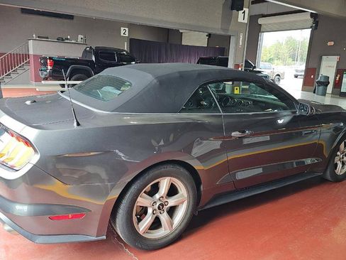 Used 2019 Ford Mustang Convertible RWD image 6