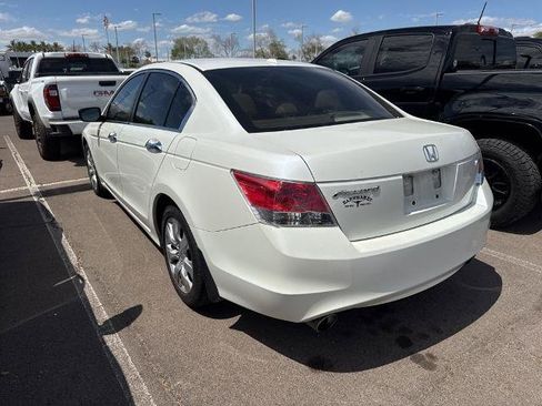 Used 2010 Honda Accord EX-L image 4