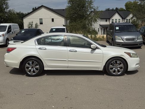 Used 2010 Honda Accord EX-L image 3