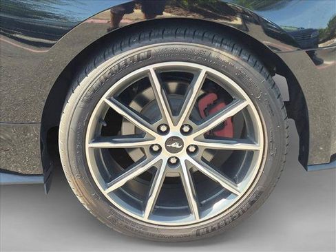 Used 2019 Ford Mustang Coupe w/ Equipment Group 101A RWD image 13