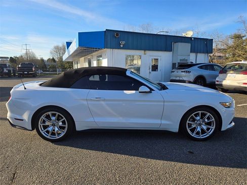 Used 2015 Ford Mustang Premium w/ Equipment Group 201A image 4