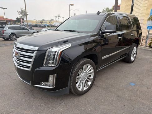 Used 2019 Cadillac Escalade Platinum image 1