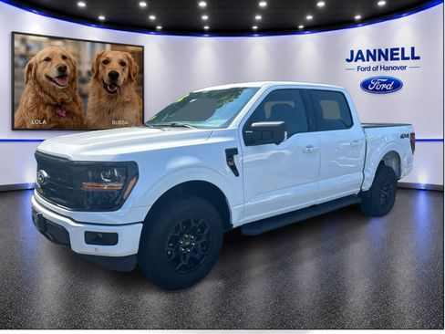 Used 2024 Ford F150 XLT w/ Equipment Group 302A MID AWD/4WD image 1