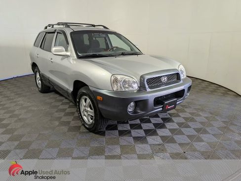 Used 2004 Hyundai Santa Fe GLS FWD image 1
