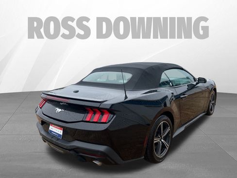 Used 2024 Ford Mustang Premium image 4