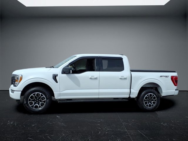 Used 2023 Ford F150 XLT w/ Equipment Group 302A High AWD/4WD image 7