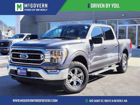 Used 2023 Ford F150 XLT w/ Equipment Group 302A High image 1