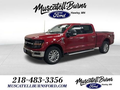 Used 2024 Ford F150 XLT w/ Equipment Group 302A MID AWD/4WD image 1