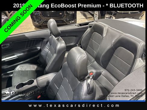 Used 2019 Ford Mustang Premium image 7