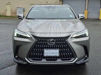 Used 2025 Lexus NX 350h AWD w/ Cold Area Package
