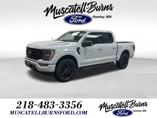 Certified 2023 Ford F150 XLT w/ Equipment Group 302A High AWD/4WD image 1