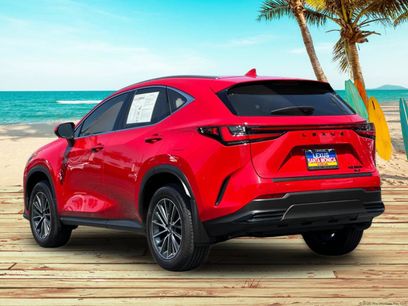 Used 2025 Lexus NX 350h AWD w/ Accessory Package (P5)
