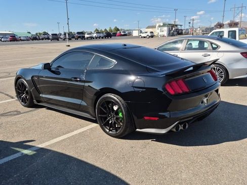 Used 2018 Ford Mustang Shelby GT350 w/ Convenience Package RWD image 4