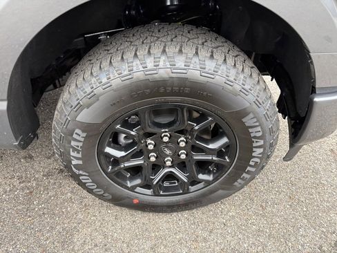 New 2026 Ford F150 XLT w/ XLT Black Appearance Package image 15