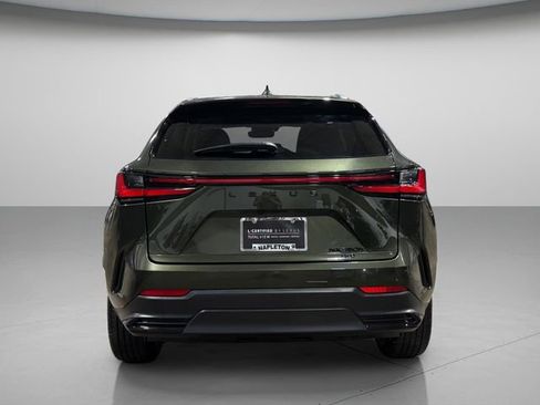 Used 2025 Lexus NX 350h AWD w/ Cold Area Package image 6