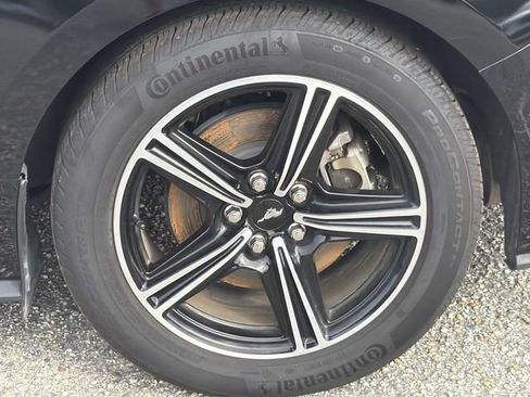 Used 2025 Ford Mustang Premium RWD image 14