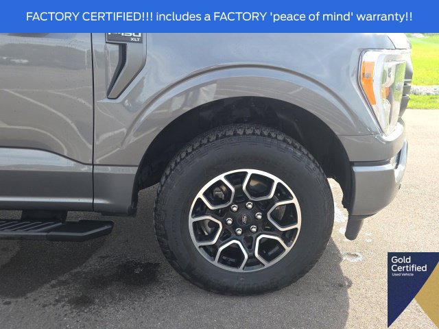 Used 2023 Ford F150 XLT w/ Equipment Group 302A High AWD/4WD image 6