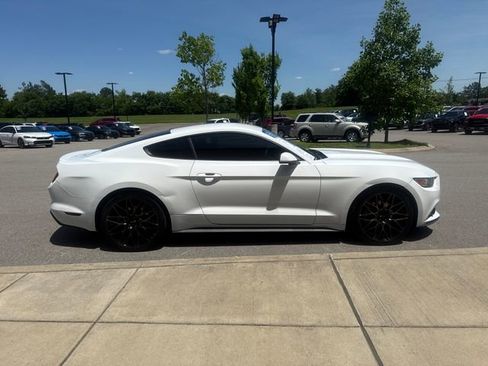 Used 2015 Ford Mustang Coupe w/ Equipment Group 051A RWD image 5