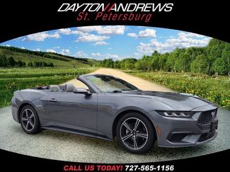 Used 2024 Ford Mustang Premium RWD video 1