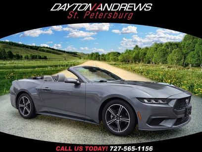 Used 2024 Ford Mustang Premium