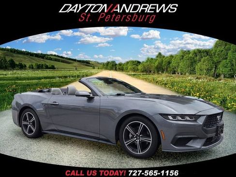 Used 2024 Ford Mustang Premium RWD image 1
