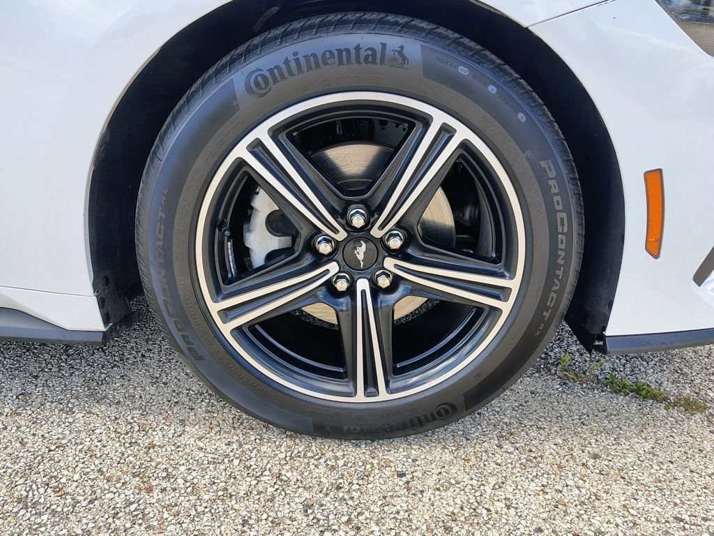 Used 2025 Ford Mustang Premium RWD image 11