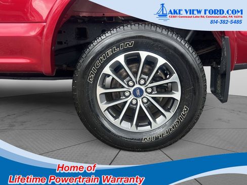 Used 2019 Ford F150 XLT w/ Equipment Group 302A Luxury AWD/4WD image 5