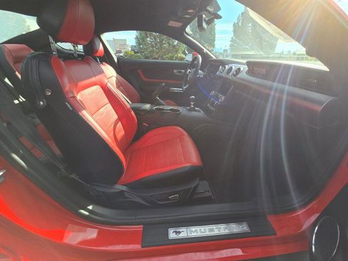 Used 2019 Ford Mustang Premium w/ Equipment Group 201A image 10