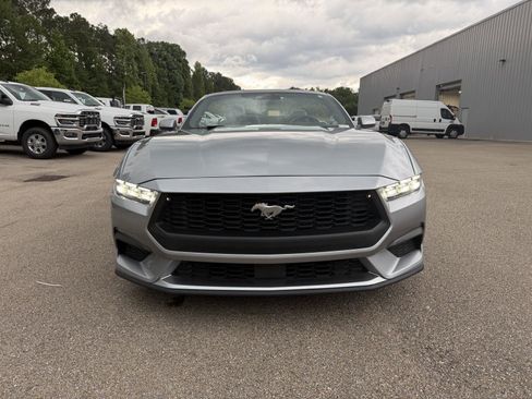 Used 2024 Ford Mustang Premium RWD image 2