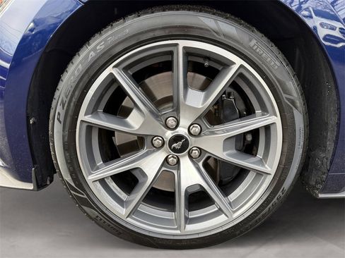 Used 2015 Ford Mustang 50 Years image 14