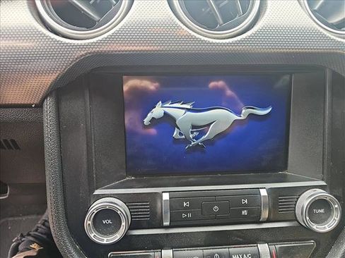 Used 2019 Ford Mustang GT w/ Equipment Group 301A image 10