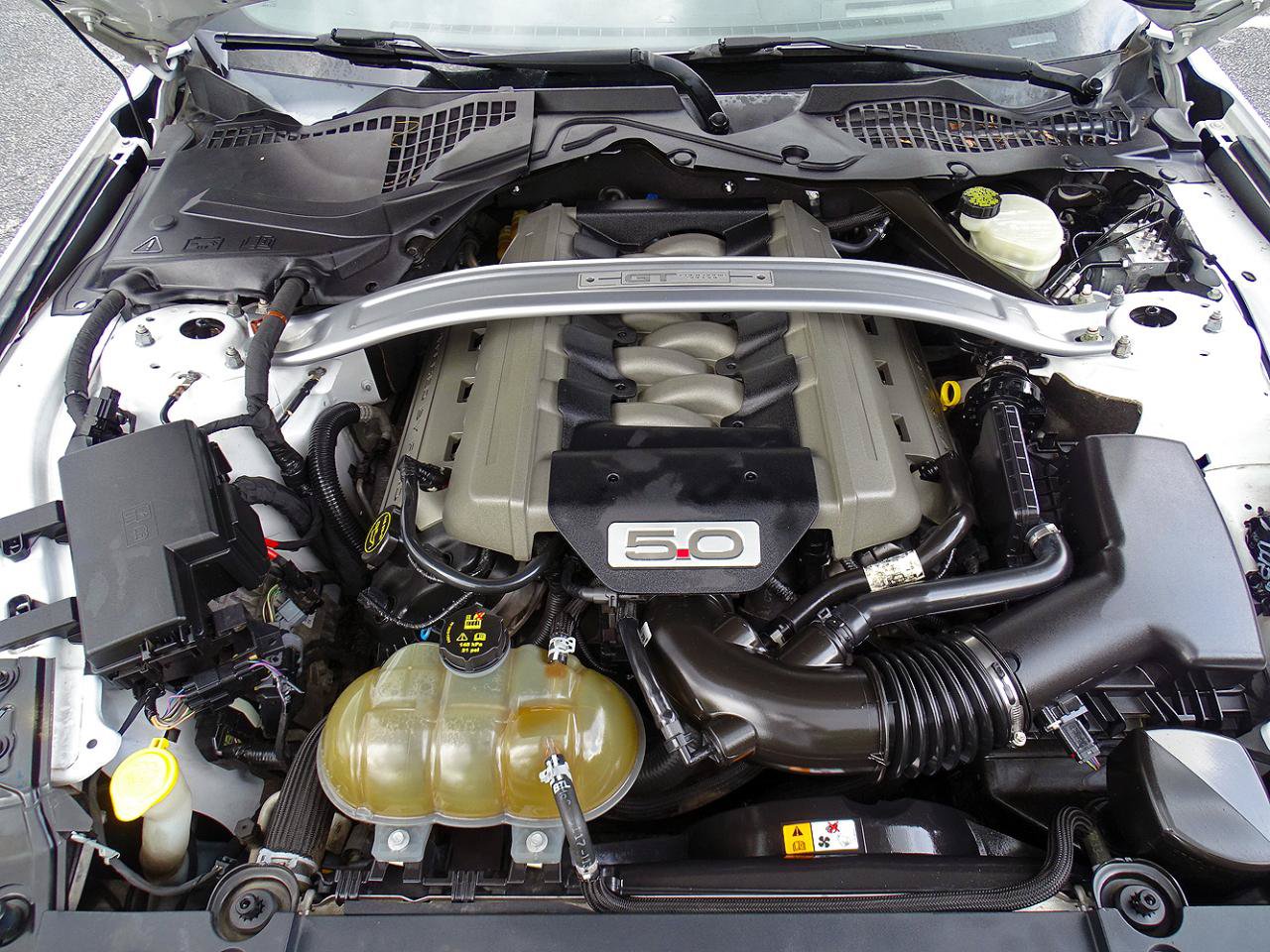 Used 2017 Ford Mustang GT Premium w/ Equipment Group 401A RWD image 15