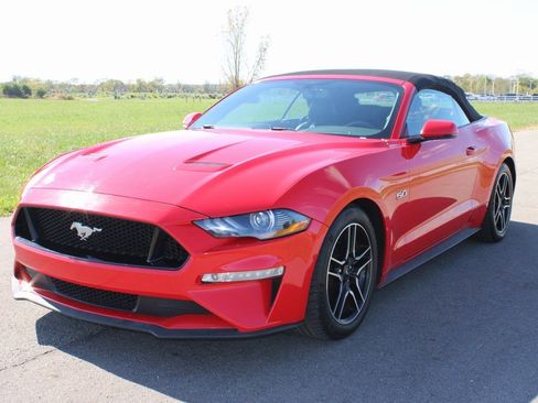 Used 2019 Ford Mustang GT Premium w/ Equipment Group 401A image 3