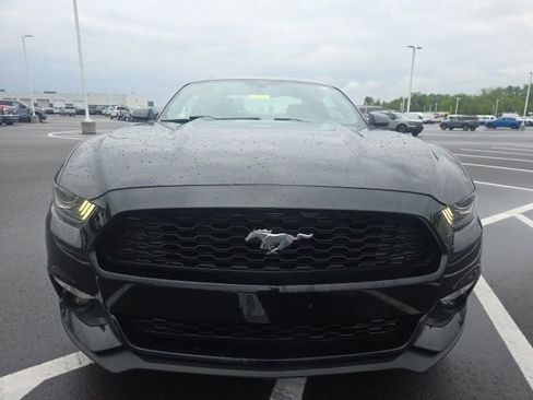 Used 2015 Ford Mustang Coupe w/ Enhanced Security Package RWD image 3