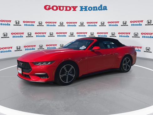 Used 2024 Ford Mustang Premium RWD image 4