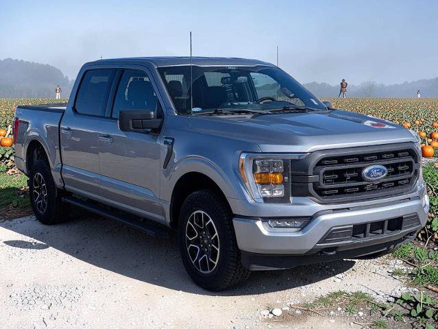 Certified 2022 Ford F150 XLT w/ Equipment Group 302A High AWD/4WD image 7