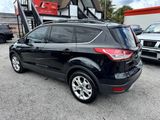 Used 2013 Ford Escape SEL image 3