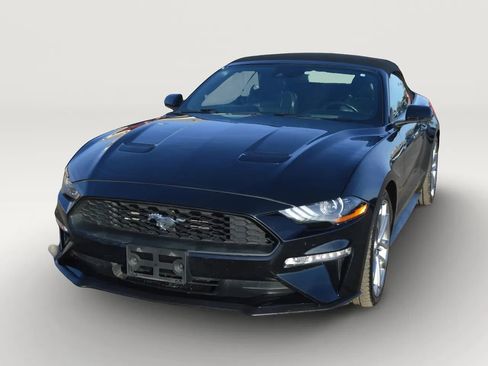 Used 2019 Ford Mustang Premium w/ Equipment Group 201A RWD image 2